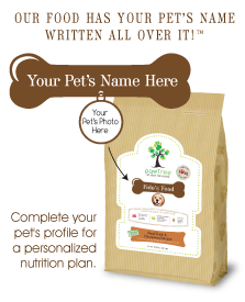 pawtree dog food