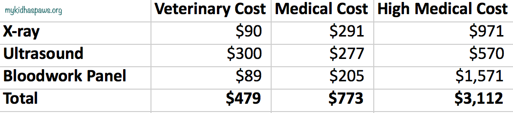 Why Does Is It Seem Like The Vet Costs So Much?