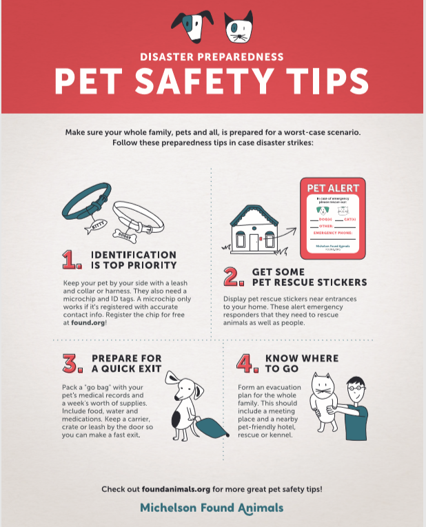 Protecting Your Pets from Fires - My Kid Has Paws