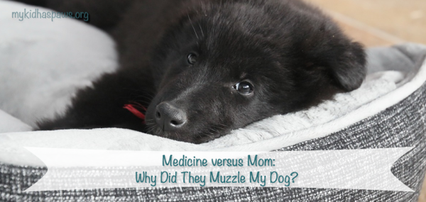 Medicine-v-mom-muzzles
