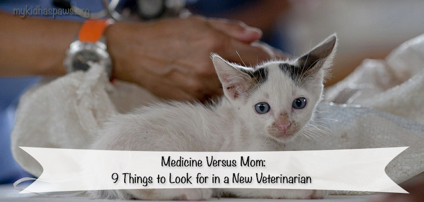 9 Things to Look for in a New Veterinarian