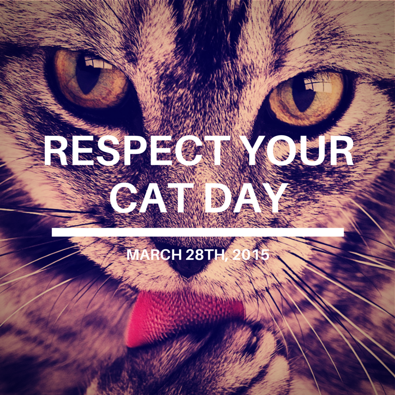 День уважения кошки картинки прикольные
