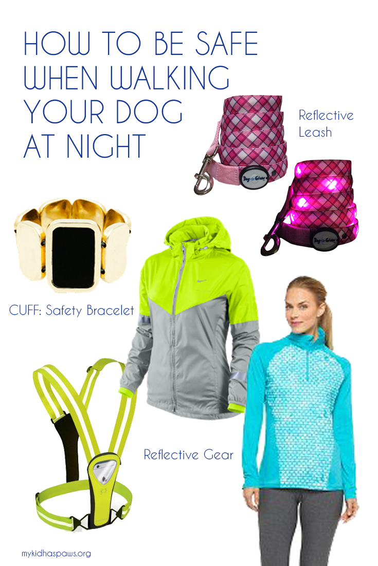 How to Be Safe When Walking Your Dog at Night