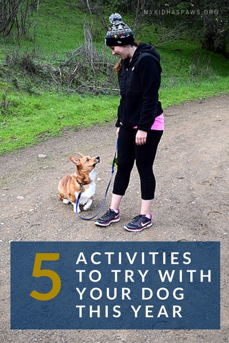 5 Activities to Try With Your Dog This Year #MKHPJanuaryChallenge - My ...