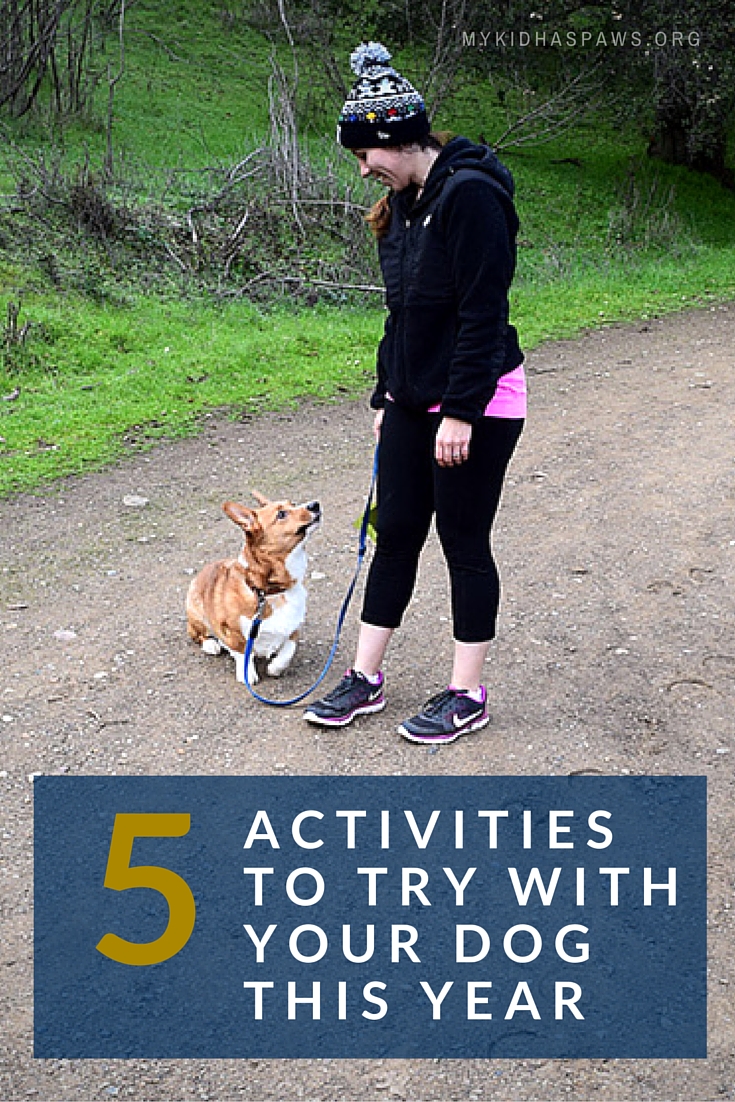 5 Activities to Try With Your Dog This Year #MKHPJanuaryChallenge