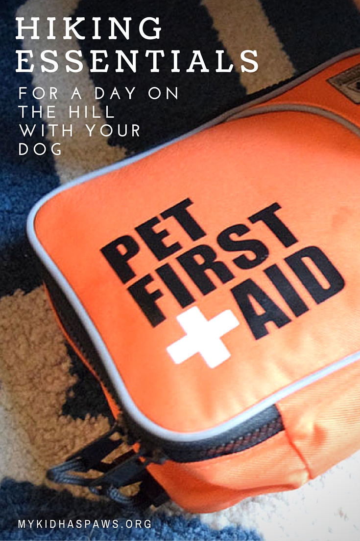 Hiking Essentials for a Day on the Hill With Your Dog