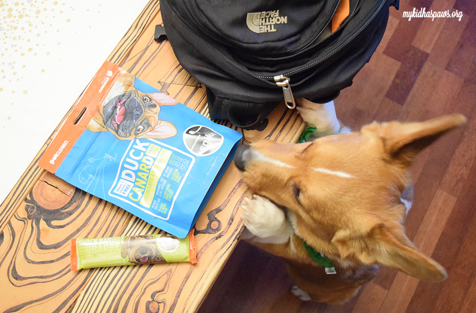 Petcurean Spike Treats: Finding a High-Value Treat for Your Dog