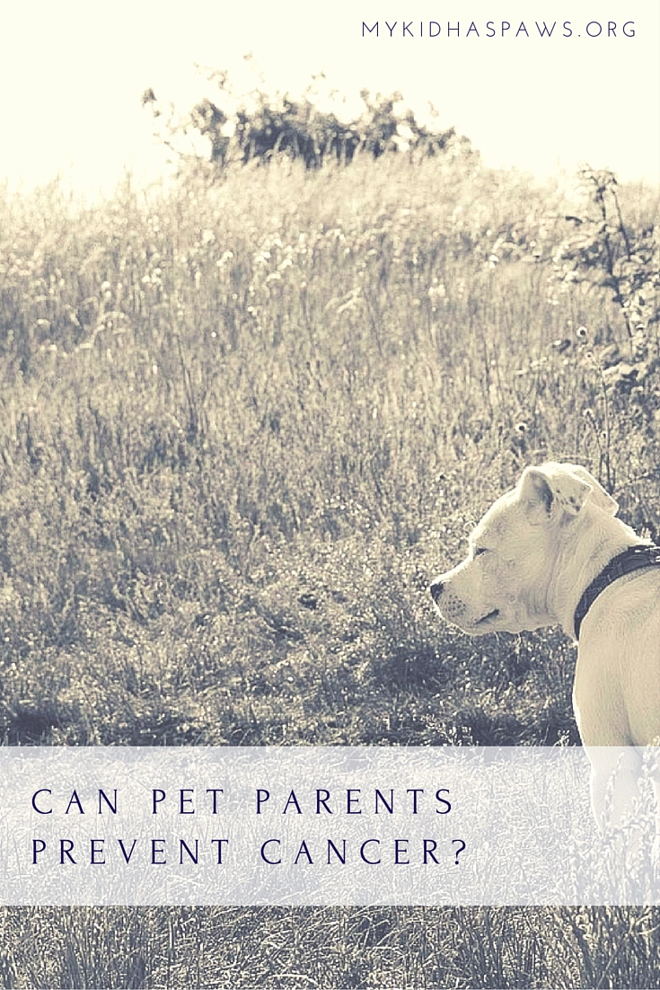 Can Pet Parents Prevent Cancer?