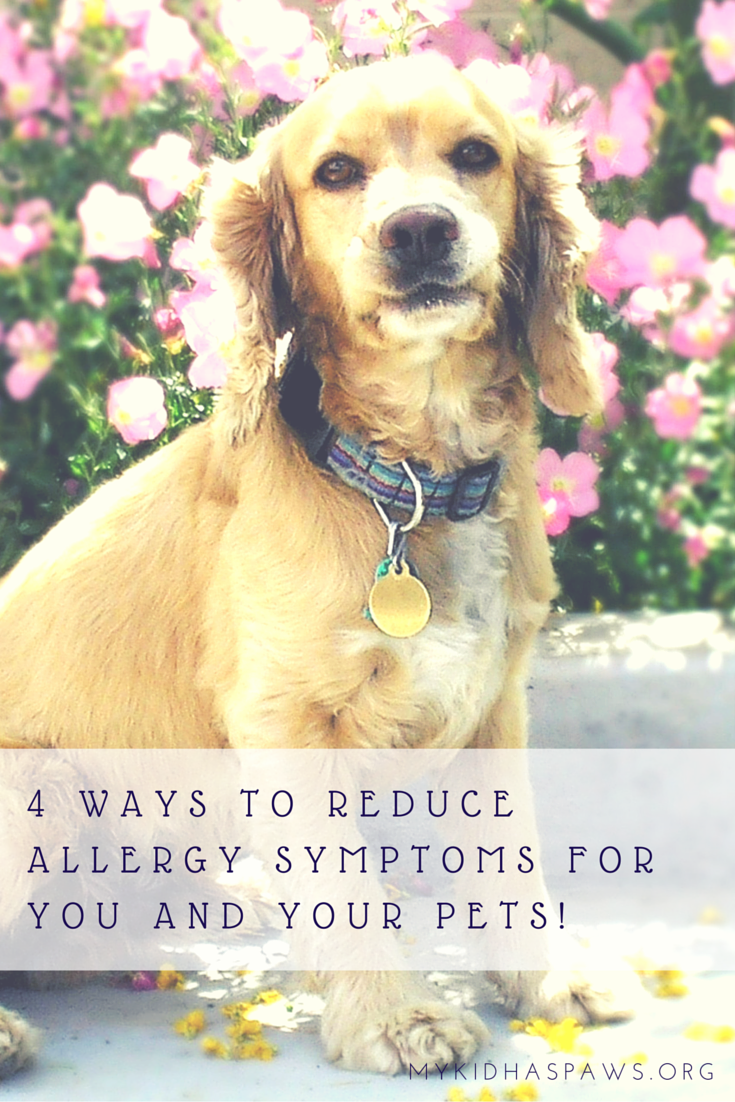 4 Ways to Reduce Allergy Symptoms for You and Your Pets!
