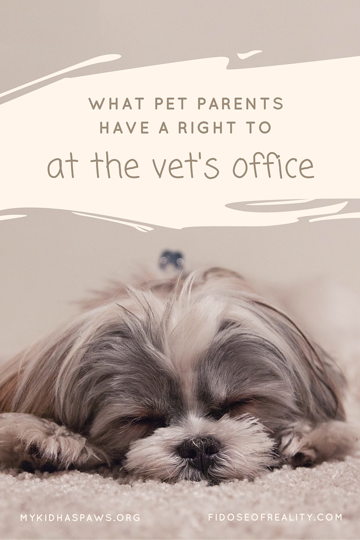 What Pet Parents Have a Right to at the Vet