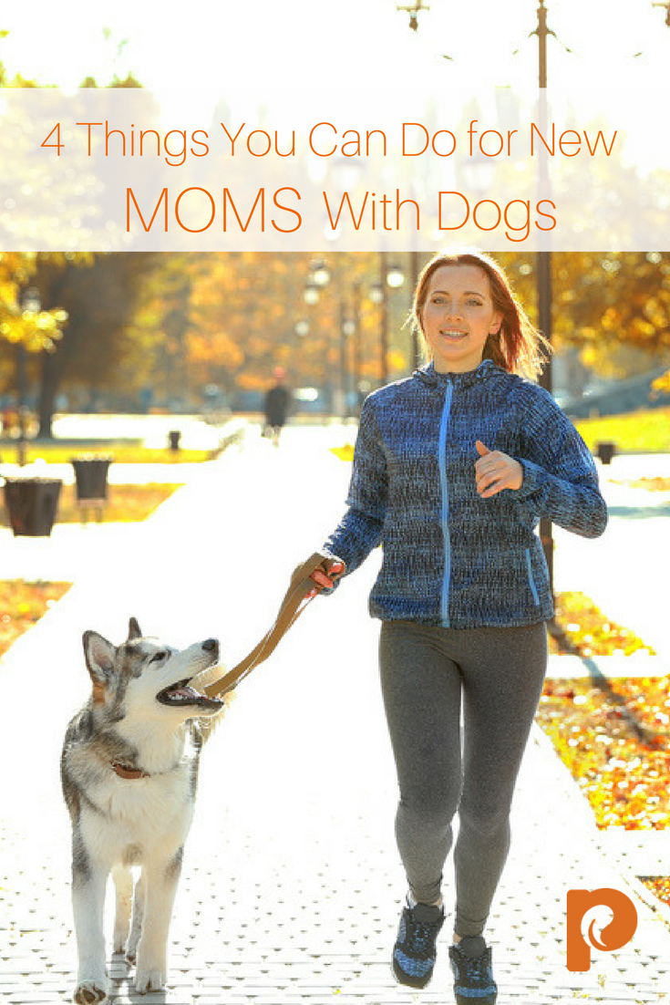4 Things You can Do for New Moms with Dogs
