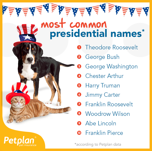 Most Common Presidential Names for Dogs