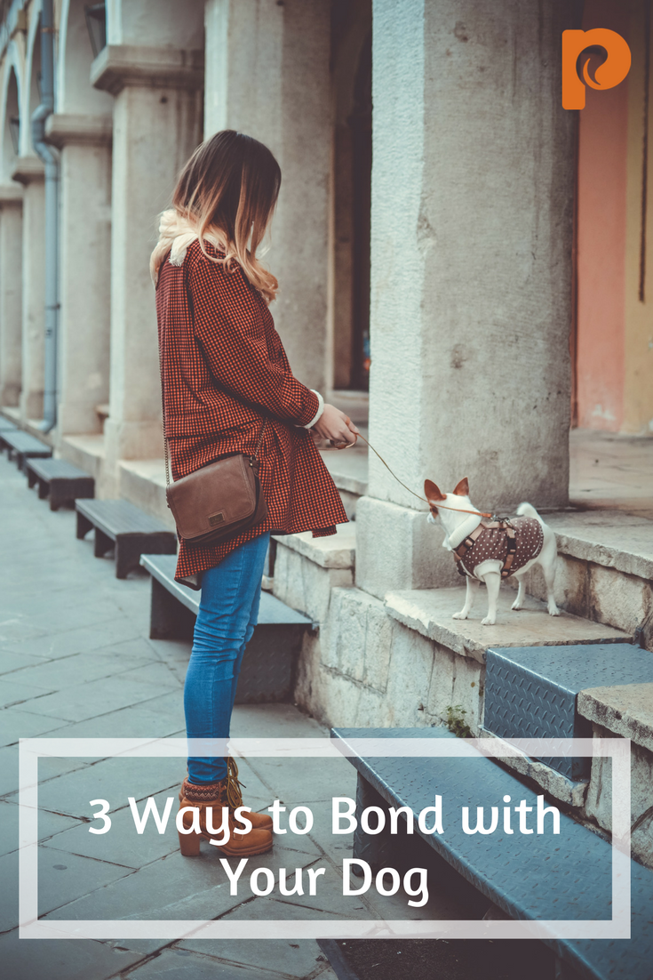 3 Ways to Bond with Your Dog - Petcurean