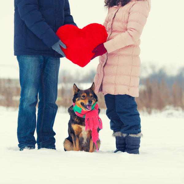 Is Your Dog Your Valentine?