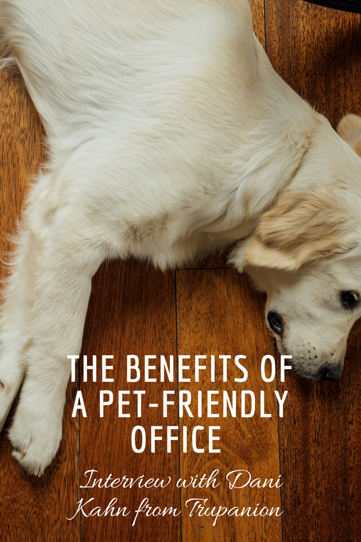 THE BENEFITS OF A PET-FRIENDLY OFFICE 