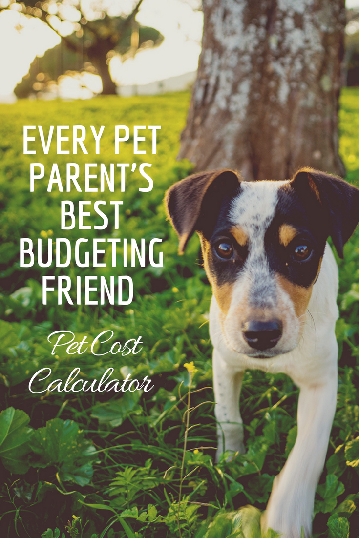 Every Pet Parent's Best Budgeting Friend - Pet Cost Calculator
