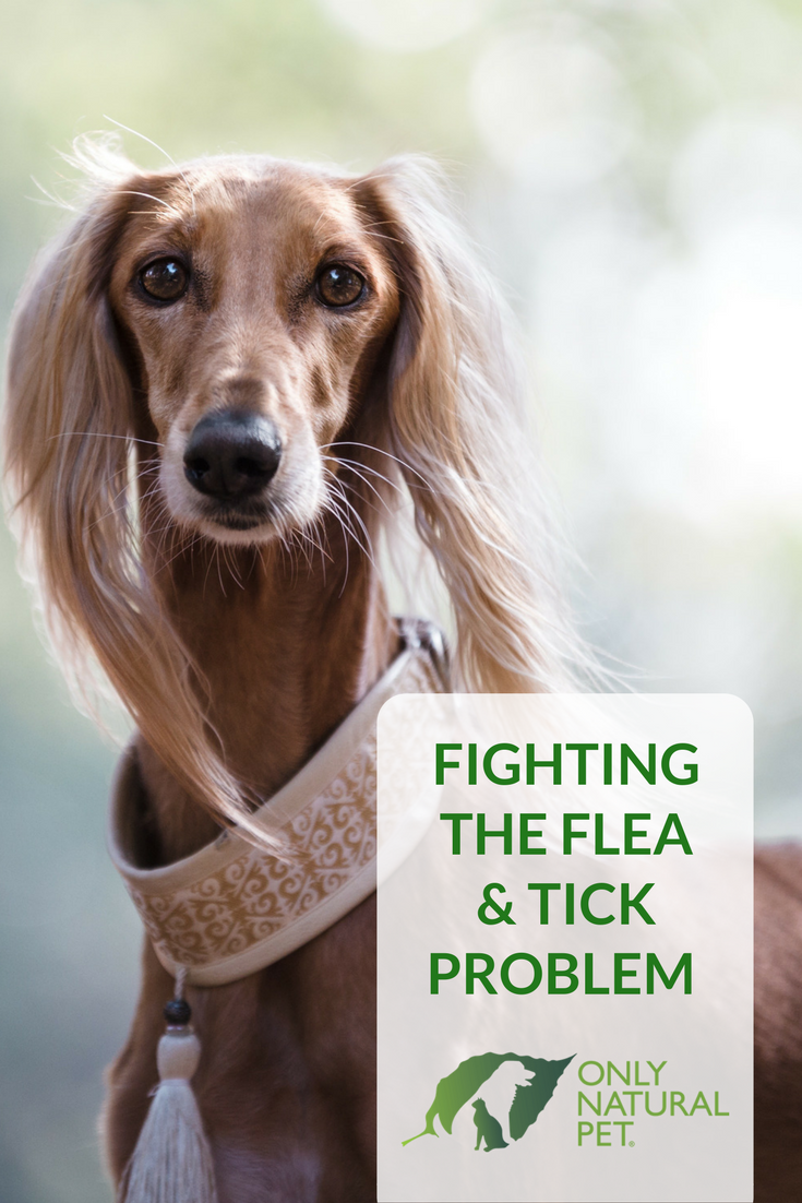 Fighting the Flea and Tick Problem with Only Natural Pet 