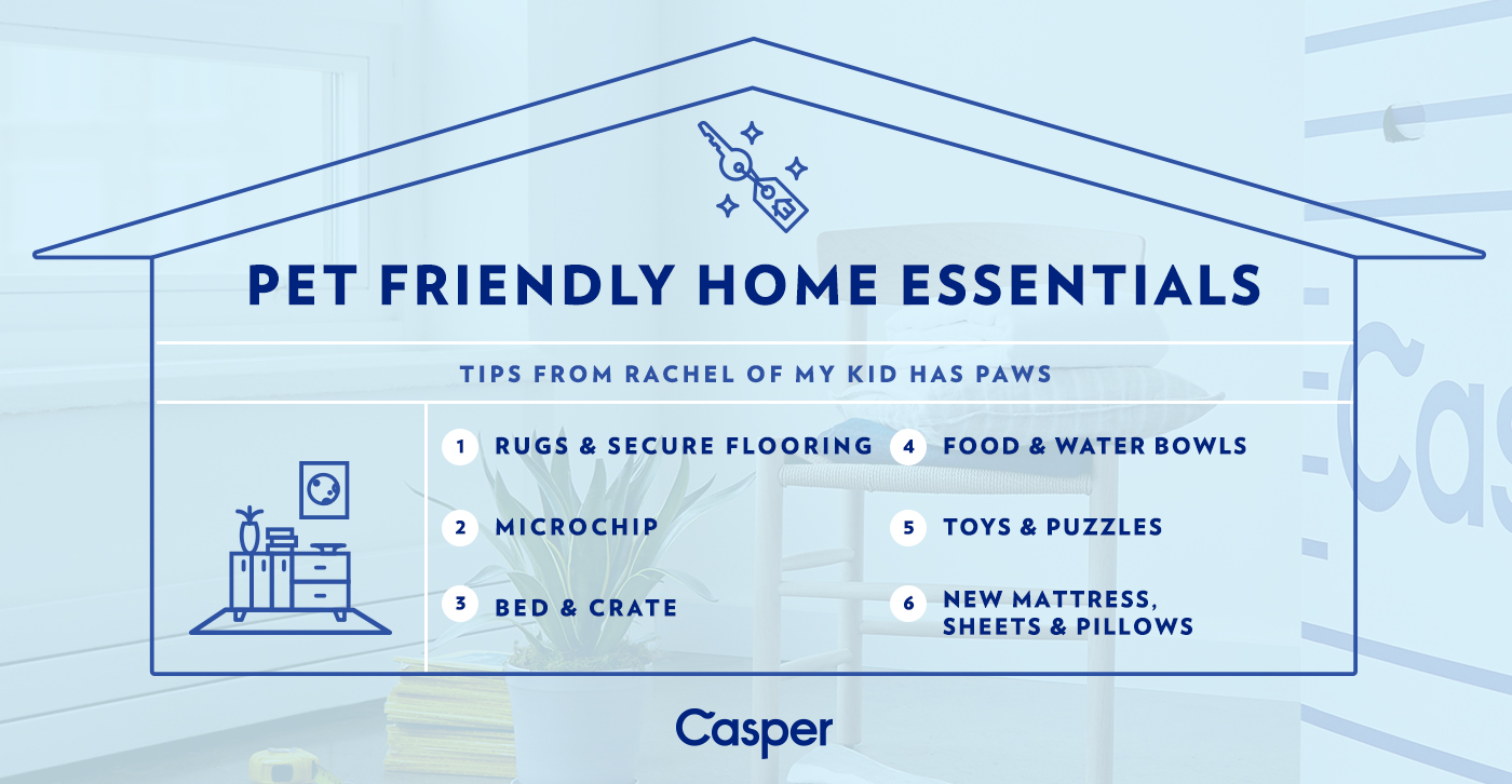 Move-In Day Essentials for Your Pets - with Casper