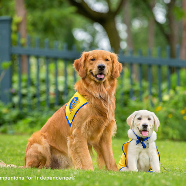 Random Acts of Kindness Day - Canine Companions for Independence