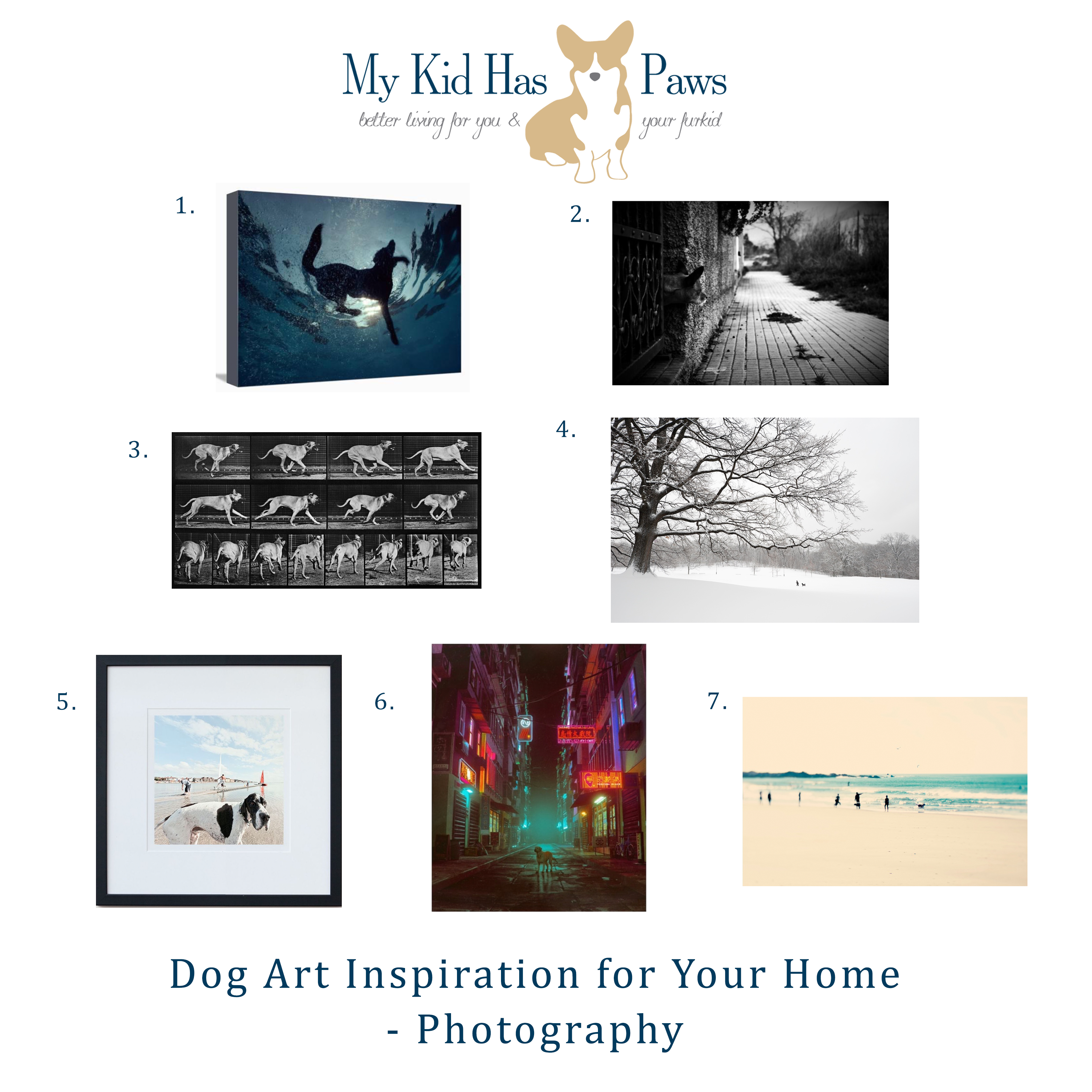Dog Inspired Art for Your Home