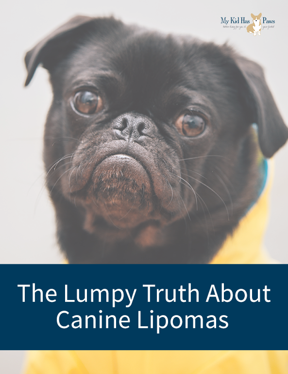 The Lump Truth About Canine Lipomas - Photo by Charles Deluvio on Unsplash
