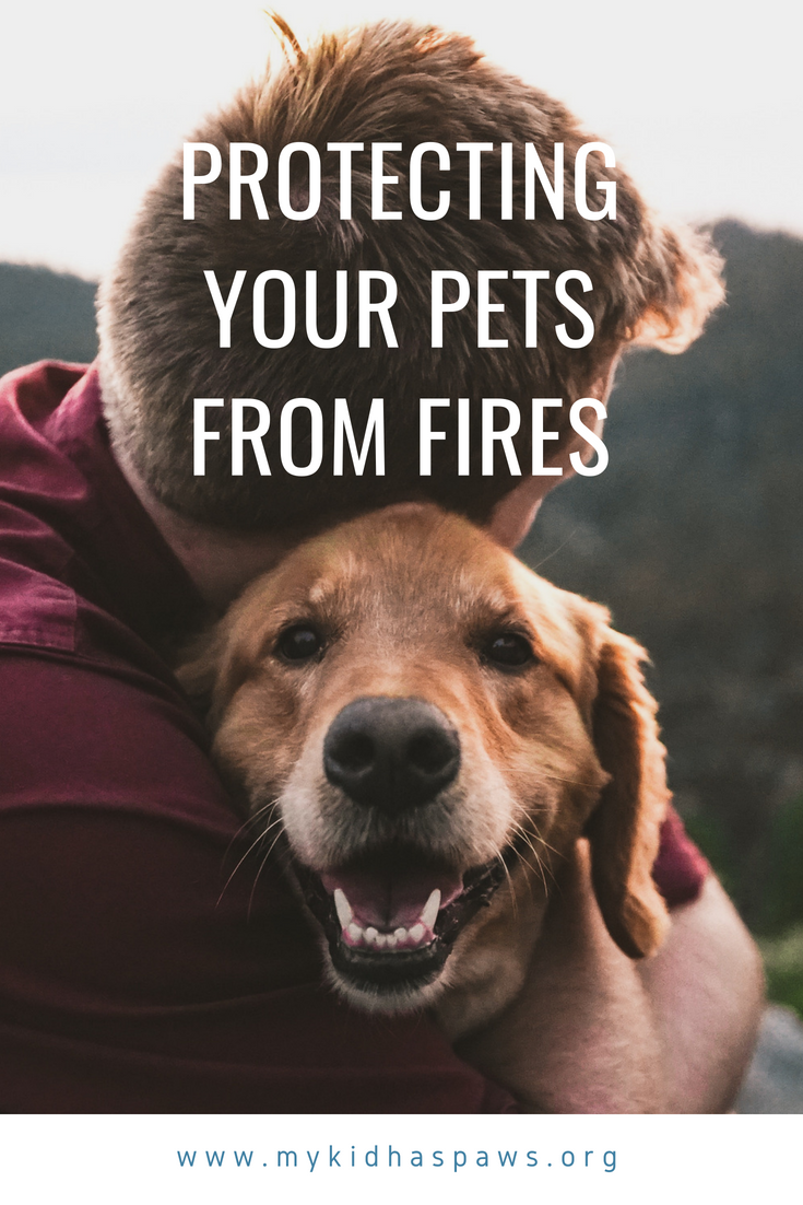 Today we outline how to protect your pets from fires. Including home fire safety, fire evacuation, and adjusting to poor air quality due to wildfires.
