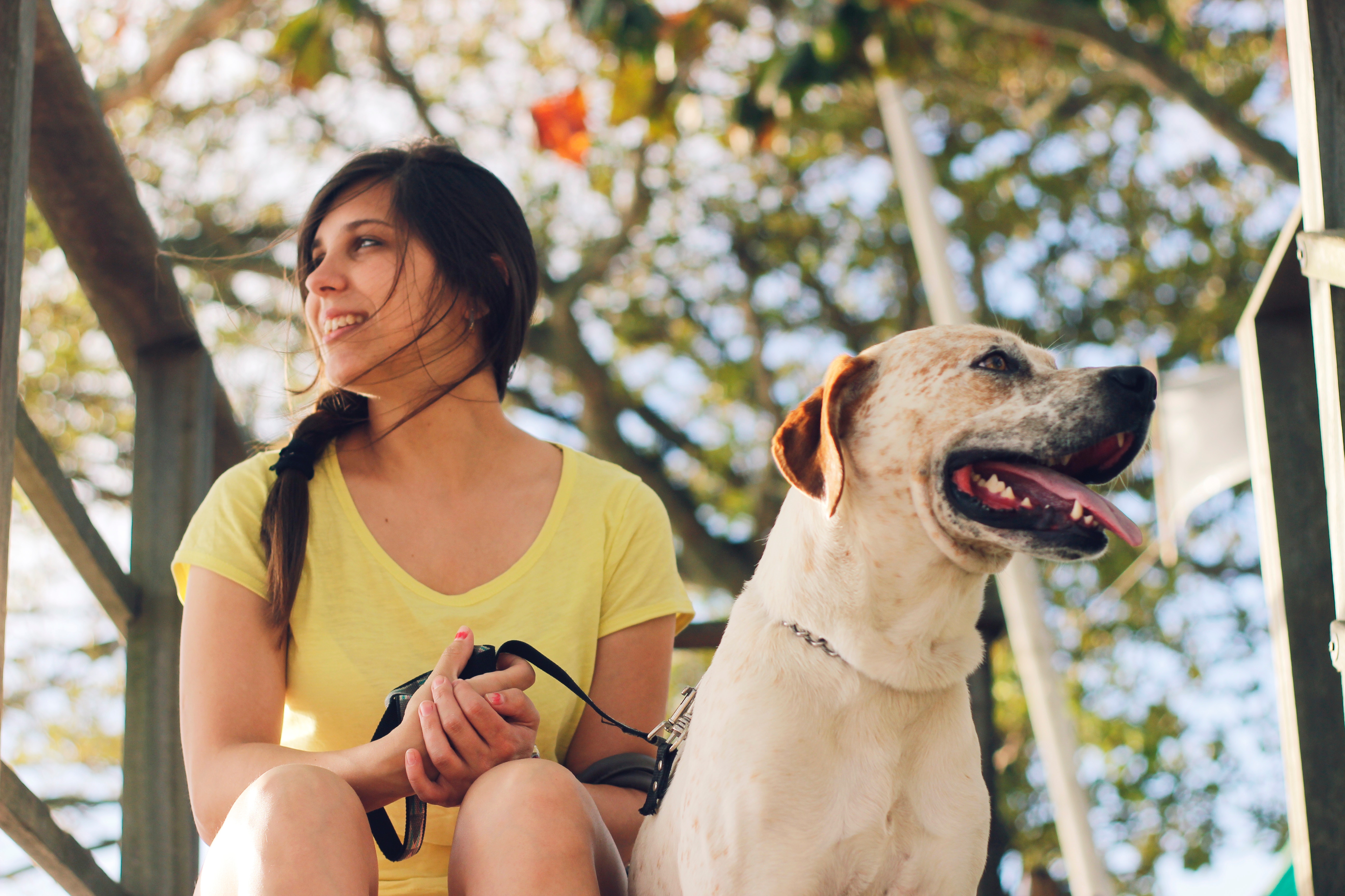 5 Dog Health Apps Every Pet Parent Should Know